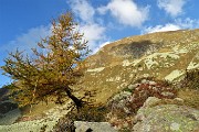 Anello dei MONTI ARETE (2227 m) e VALEGINO (2415 m) da Cambrembo di Valleve il 14 ottobre 2018 - FOTOGALLERY